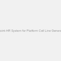 PinPoint-HR System for Platform Cell Line Generation & Retargeting of AAVS1 Safe Harbor Locus (includes PIN410A-1, GE601A-1, PIN200A-1, PIN510A-1, & PIN600A-1)